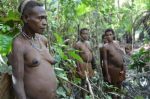 Papua Zachodnia (Indonezja) Ludzie Drzew