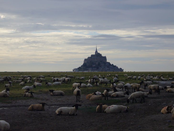Atrakcje Francji - Mont Saint-Michel
