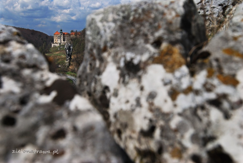 Zamek w Pieskowej Skale