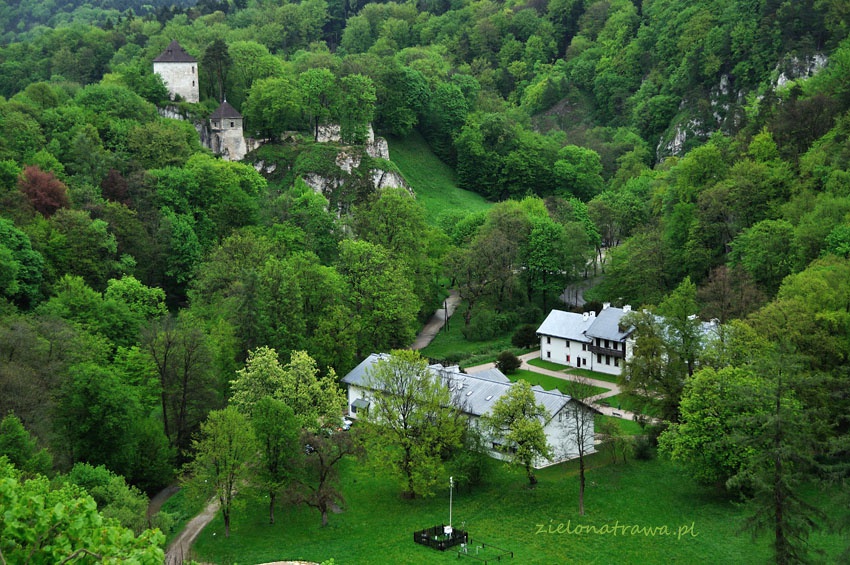 Zamek w Ojcowie