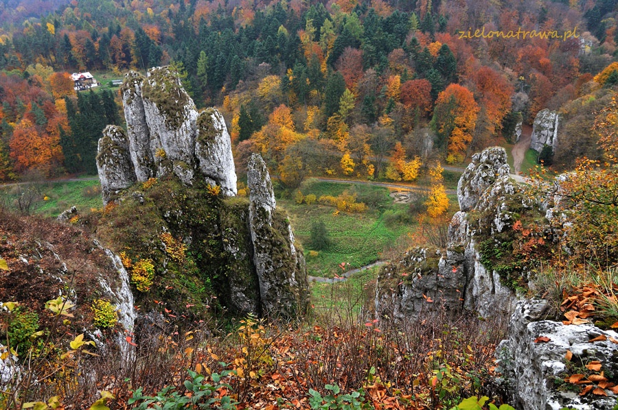 Ojcowski Park Narodowy