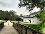 5 powodów dla których warto odwiedzić Ojcowski Park Narodowy