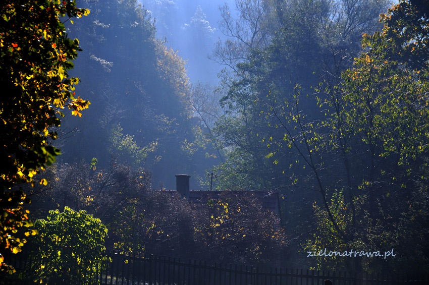 Ojcowski Park Narodowy