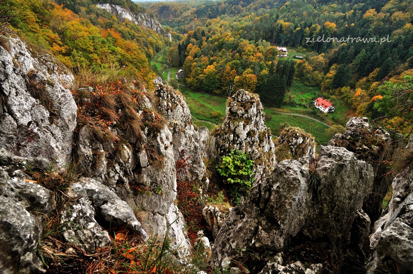 Nad Jaskinią Ciemną