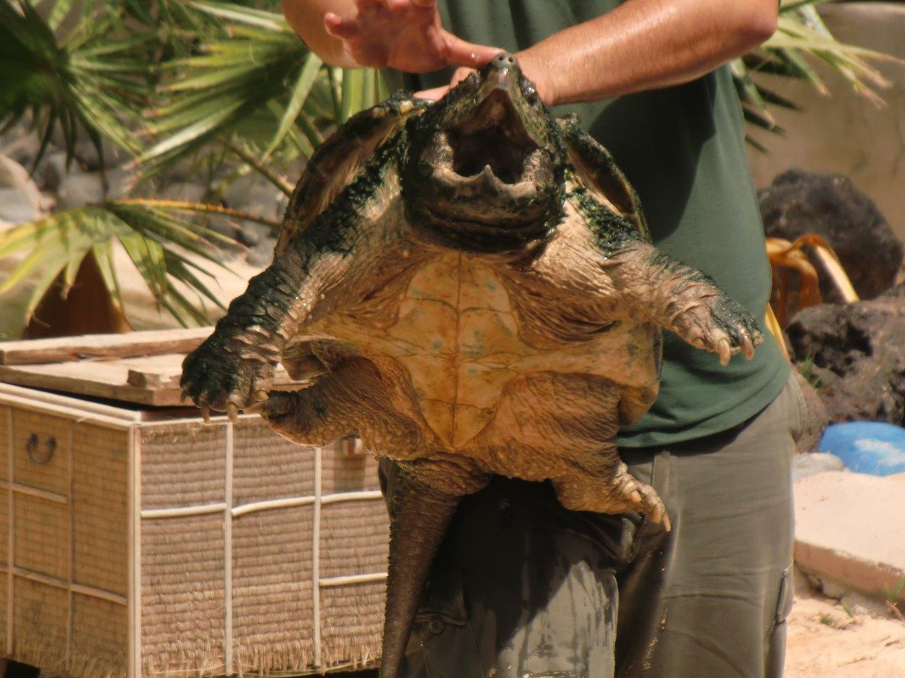 Oasis Park Fuertaventura