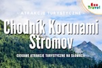 Chodnik w Koronach Drzew