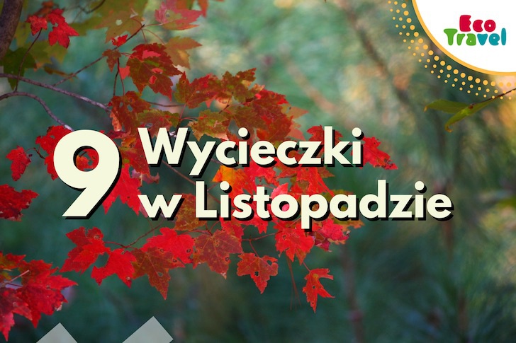 Wycieczki w Listopadzie. Gdzie i dlaczego tam?