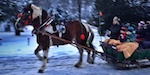 Kuligi Zimowe w Małopolsce i nie tylko!