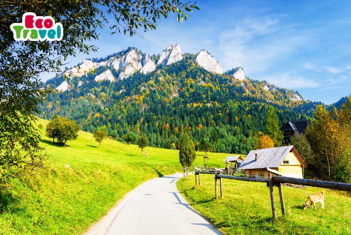 Pieniny - Wycieczki Szkolne Jesień 2022 i Wiosna 2023