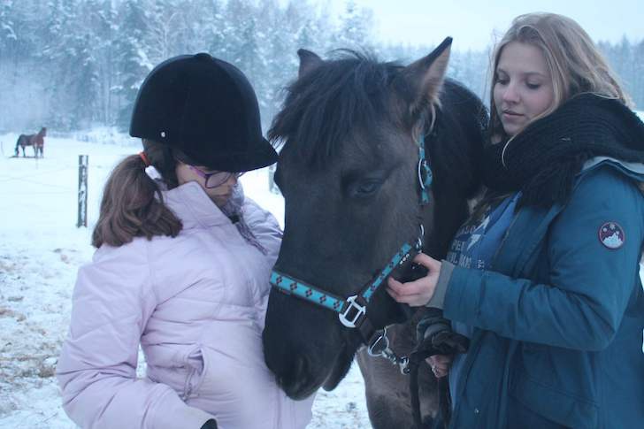 Zimowy Obóz Jeździecki