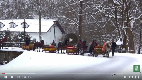 Sleigh Riding Tours in Ojcow National Park [video]